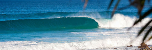 Photo of Lennox Head BA3173 - Gusha