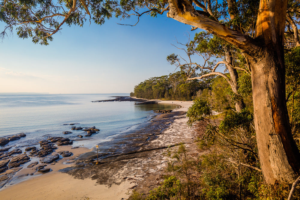 Sharknet Beach photo