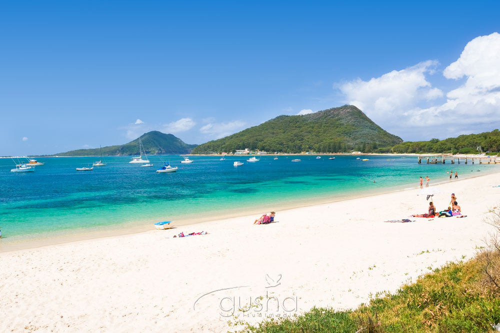 Photo of Shoal Bay PS0983 - Gusha