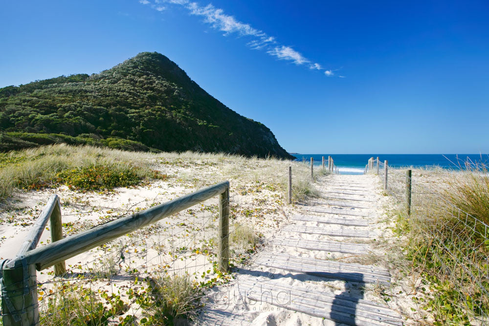 Photo of Zenith Beach PS0987 - Gusha