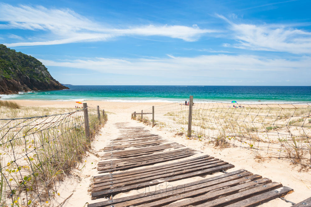 Photo of Zenith Beach PS3019 - Gusha