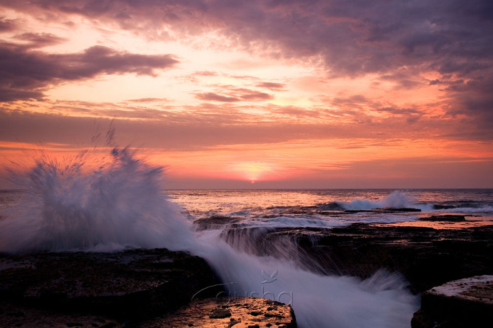 Photo of North Narrabeen Sunrise SYD0596 - Gusha