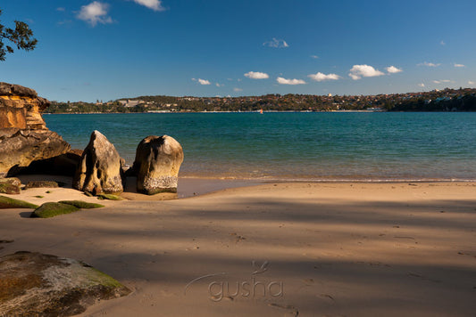 Photo of Castle Rock Beach SYD2219 - Gusha