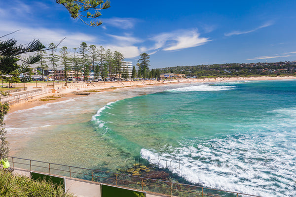 Dee Why Beach photo SYD3496 – Gusha